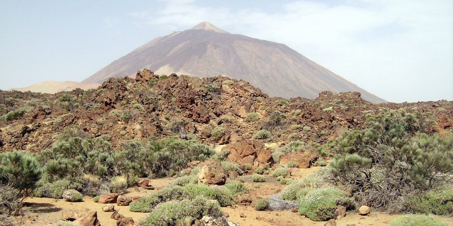 Ténérife en famille: les incontournables et guide