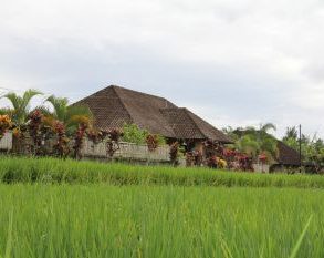 Bali en famille avec de jeunes enfants | Blog VOYAGES ET ENFANTS