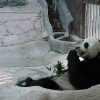 Chiang Mai en famille avec enfant le zoo