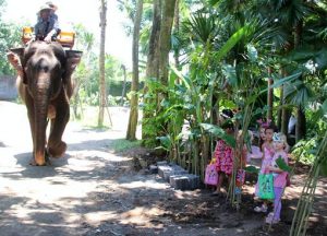 Voyage enfant Bali en famille