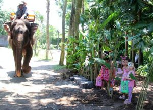 Voyage enfant Bali en famille La vie de Caroline à Bali avec ses enfants | Blog VOYAGES ET ENFANTS