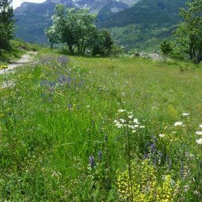 Balade en flan de montagne dans les Hautes Alpes pour les enfants | Blog VOYAGES ET ENFANTS