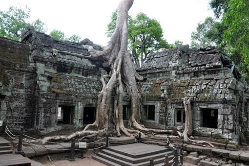 Angkor en famille Voyage en famille vieilles pierres civilisations anciennes