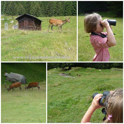 Parc de Merlet Week-end en famille à Chamonix