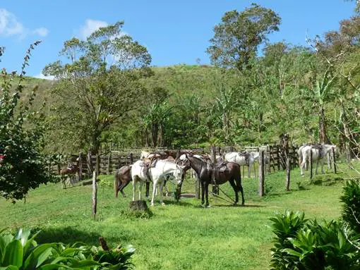 Voyage famille Costa Rica