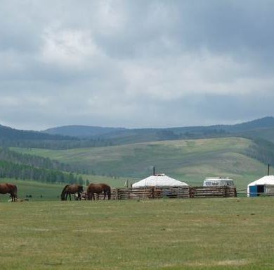 voyage Mongolie en famille avec enfant