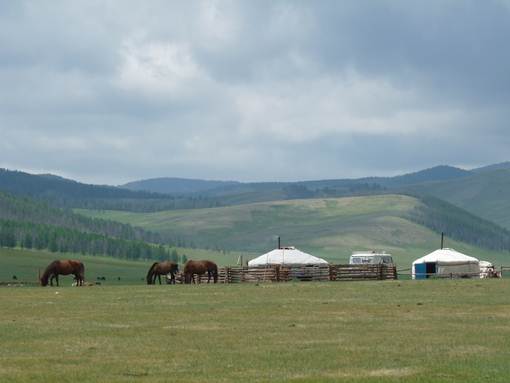 voyage Mongolie en famille avec enfant