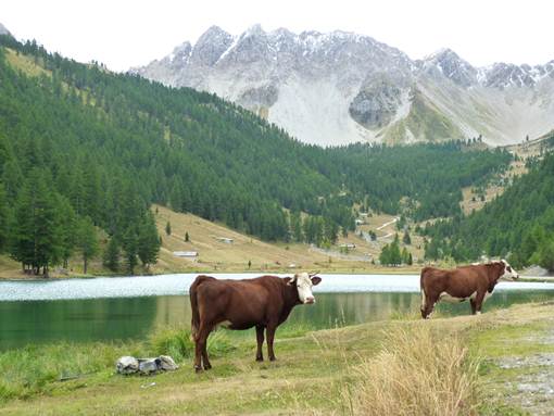 Les montagnes des Hautes Alpes mes souvenirs de vacances 10 | Blog VOYAGES ET ENFANTS