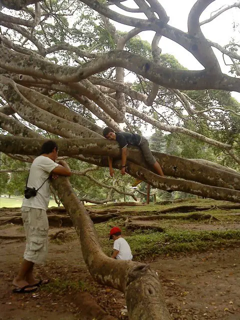 Sri Lanka voyage en famille 