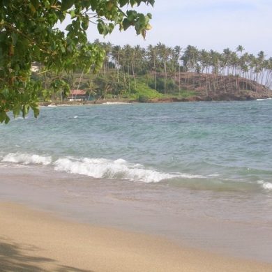 Une île en Asie: le Sri Lanka en famille