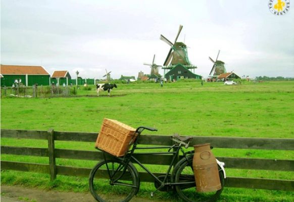 Visiter les moulins aux Pays Bas… avec enfants