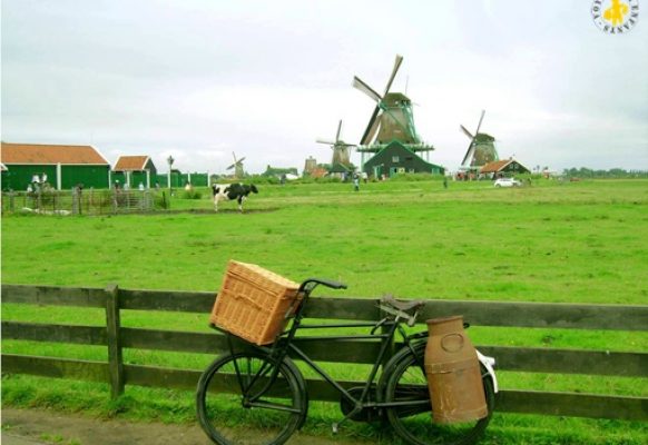 Visiter les moulins de Hollande avec enfants