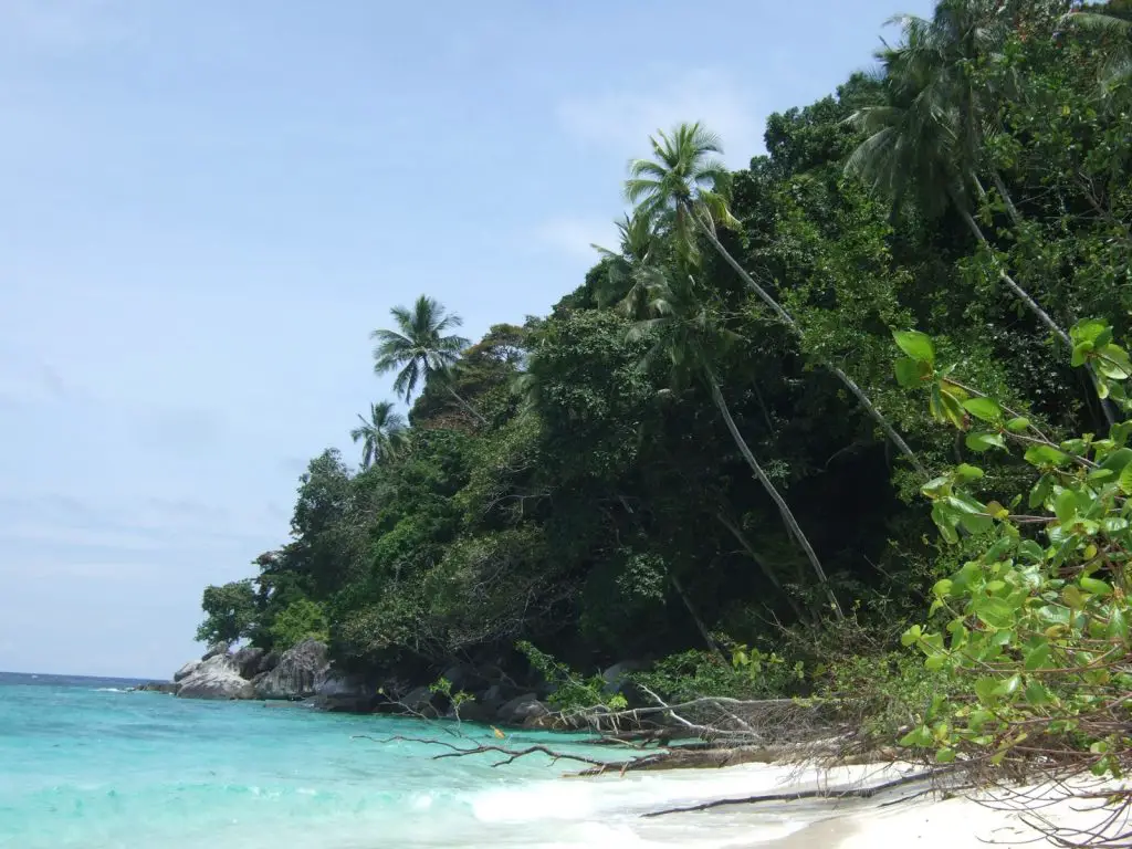 Tioman Voyage Malaisie avec bébé Malaisie avec bébé 2 semaines | Blog VOYAGES ET ENFANTS