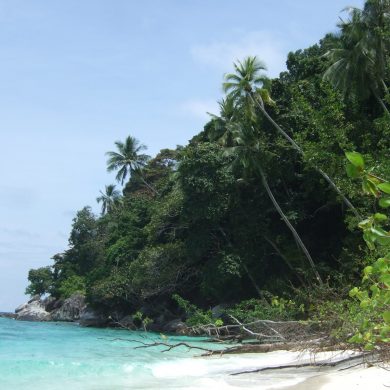 La Malaisie avec bébé TiCoeur de Maman Voyage