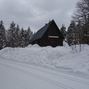 Vercors et le bois Barbu avec enfants | VOYAGES ET ENFANTS