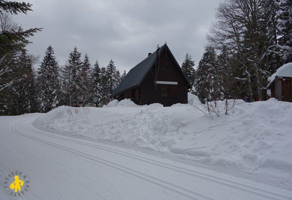 Le Vercors : le Bois Barbu et ses sorcières....