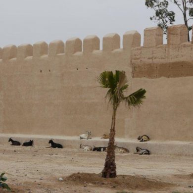 Le Maroc en camping-car avec bébé de 23 mois