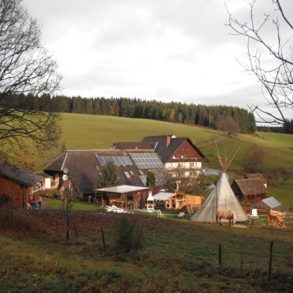 Voyage en famille en Forêt Noire | Blog VOYAGES ET ENFANTS