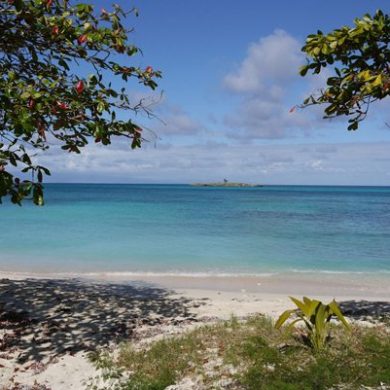 Bébé en Guadeloupe