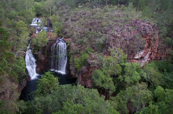 kakadu australie