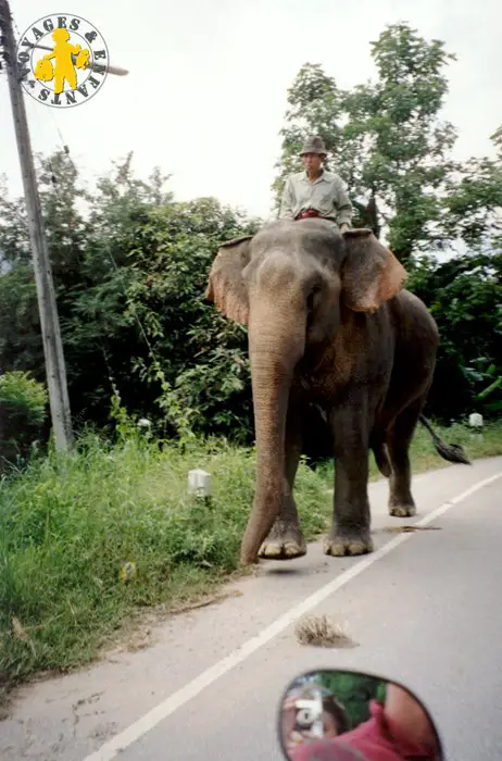 Thailande0018 La Thaïlande en famille 7 raisons dy aller avec les enfants | Blog VOYAGES ET ENFANTS