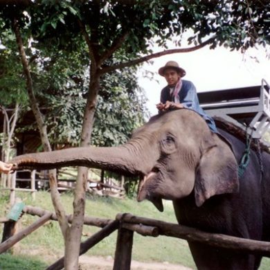 7 bonnes raisons pour partir en Thaïlande avec des enfants