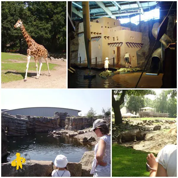 Zoo emmen Pays Bas en camping car road trip 15 jours | VOYAGES ET ENFANTS