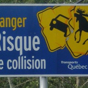 Conduire au Québec et Montréal | Blog VOYAGES ET ENFANTS