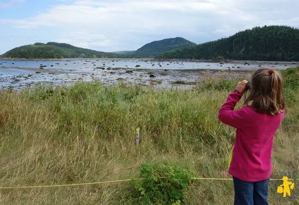 Activités inoubliable au Québec en été