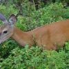 Visite Sous Marin Pointe au père | Blog VOYAGES ET ENFANTS