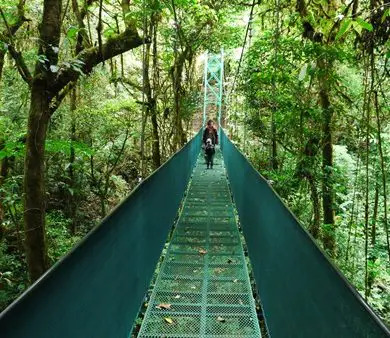 Voyage Costa Rica en famille pont se singe avec enfant