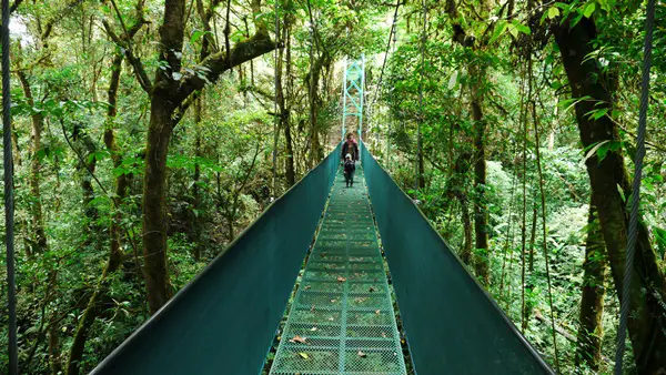 Voyage Costa Rica en famille pont se singe avec enfant