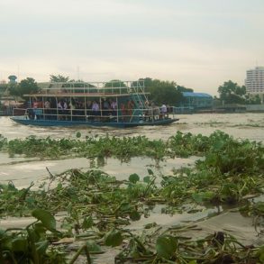 Bangkok avec bébé que faire | Blog VOYAGES ET ENFANTS