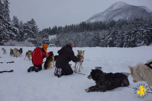 Activite Hiver Chiens De Traineau Avec Des Enfants Hautes Alpes Blog Voyages Et Enfants Activite Hiver Chiens De Traineau Avec Des Enfants Hautes Alpes Blog Voyages Et Enfants