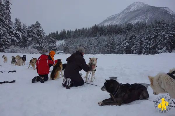 Chien traineau avec enfant vallée clarée voyage enfant Activité hiver chiens de traîneau avec des enfants Hautes Alpes | Blog VOYAGES ET ENFANTS