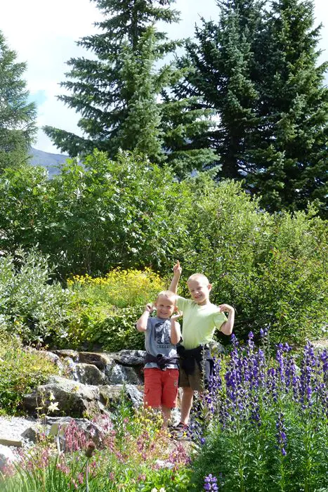 Jardin Alpin du Lautaret avec des enfants
