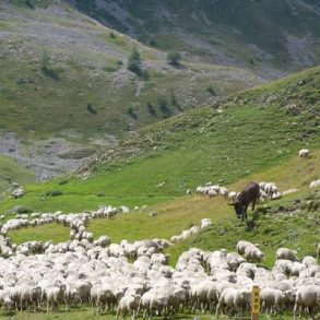 Hautes Alpes en famille | Blog VOYAGES ET ENFANTS