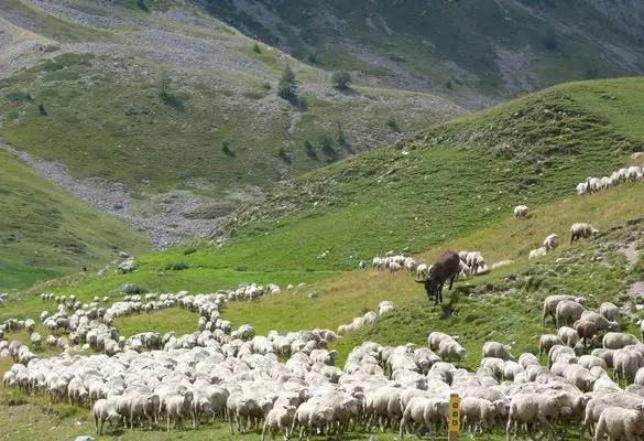 Hautes Alpes en famille: le Briançonnais avec Timéo et Matty (7 et 5 ans) 10 Hautes Alpes en famille: le Briançonnais avec Timéo et Matty (7 et 5 ans)