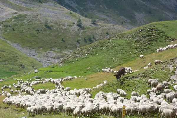 Vallée de la clarée