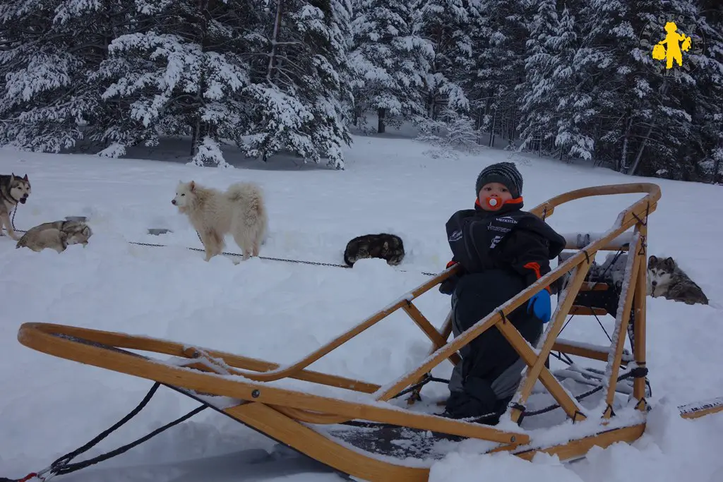 Activite Hiver Chiens De Traineau Avec Des Enfants Hautes Alpes Blog Voyages Et Enfants Activite Hiver Chiens De Traineau Avec Des Enfants Hautes Alpes Blog Voyages Et Enfants