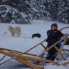 Merci à nos parents voyageurs et bonne année 2014