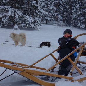 Activité hiver chiens de traîneau avec des enfants Hautes Alpes | Blog VOYAGES ET ENFANTS