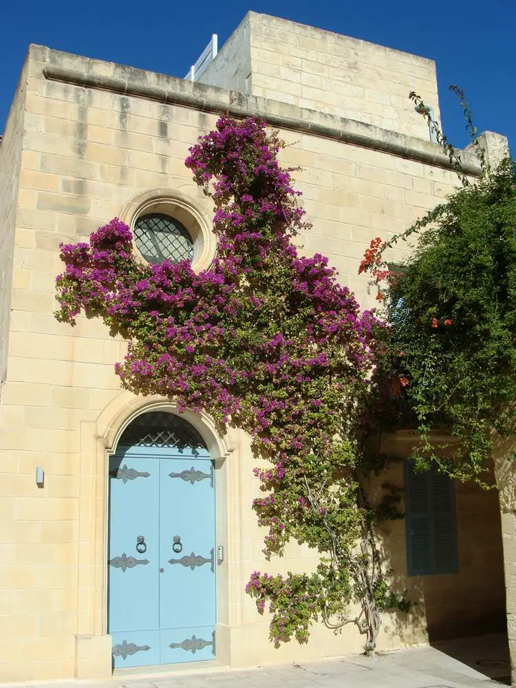 Dans les ruelles de Mdina