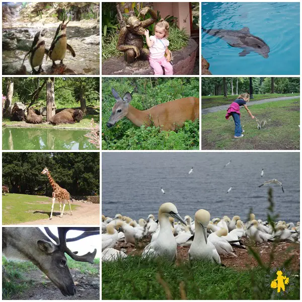 voyage et enfant activité animaux en famille