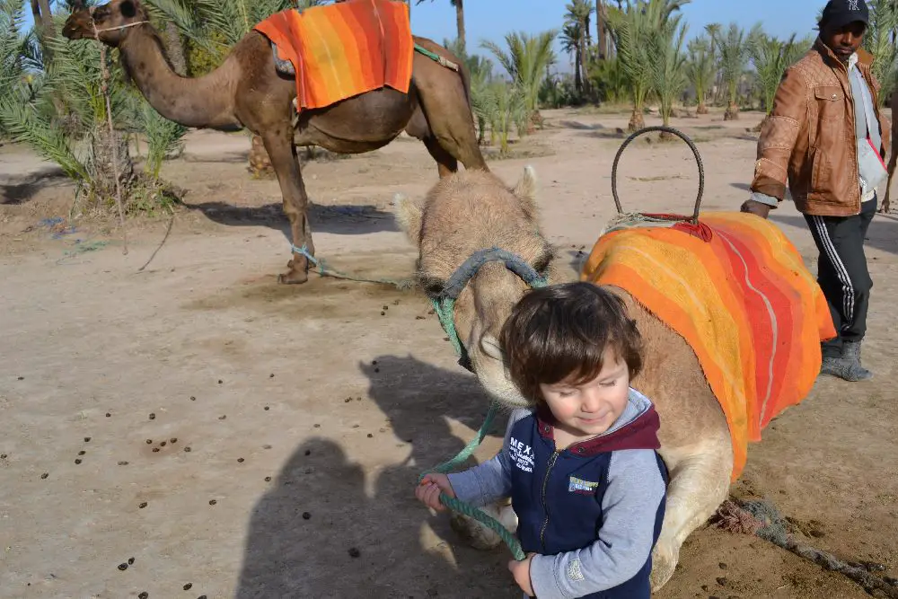 voyage marrakech famille