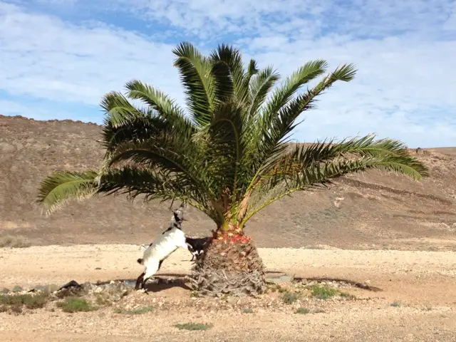 Lanzarote en famille en hiver