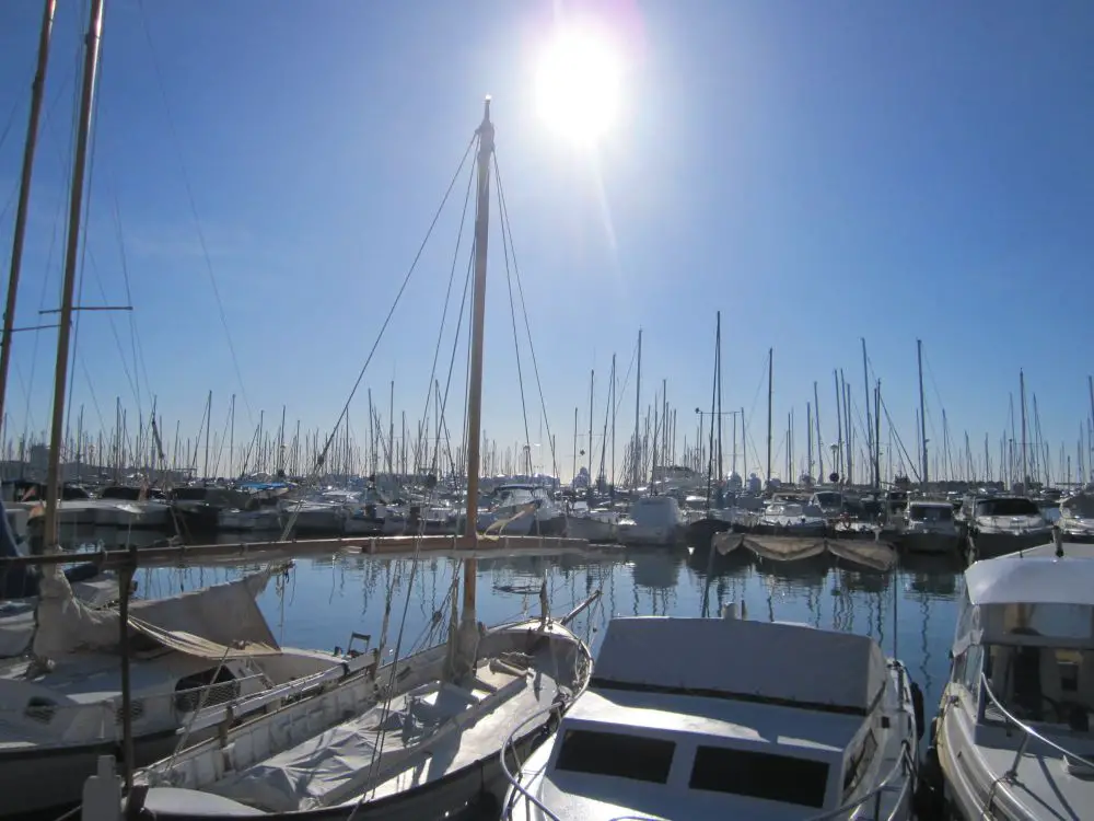 Port de Palma