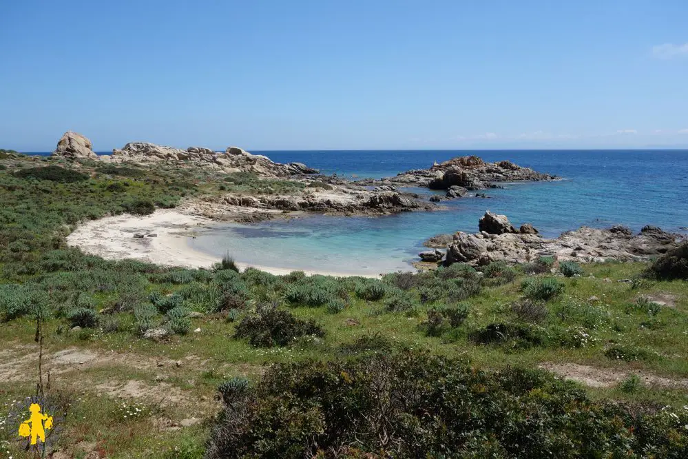 2014.04.24 Sardaigne Asinara +soir Castelsardo (107A)