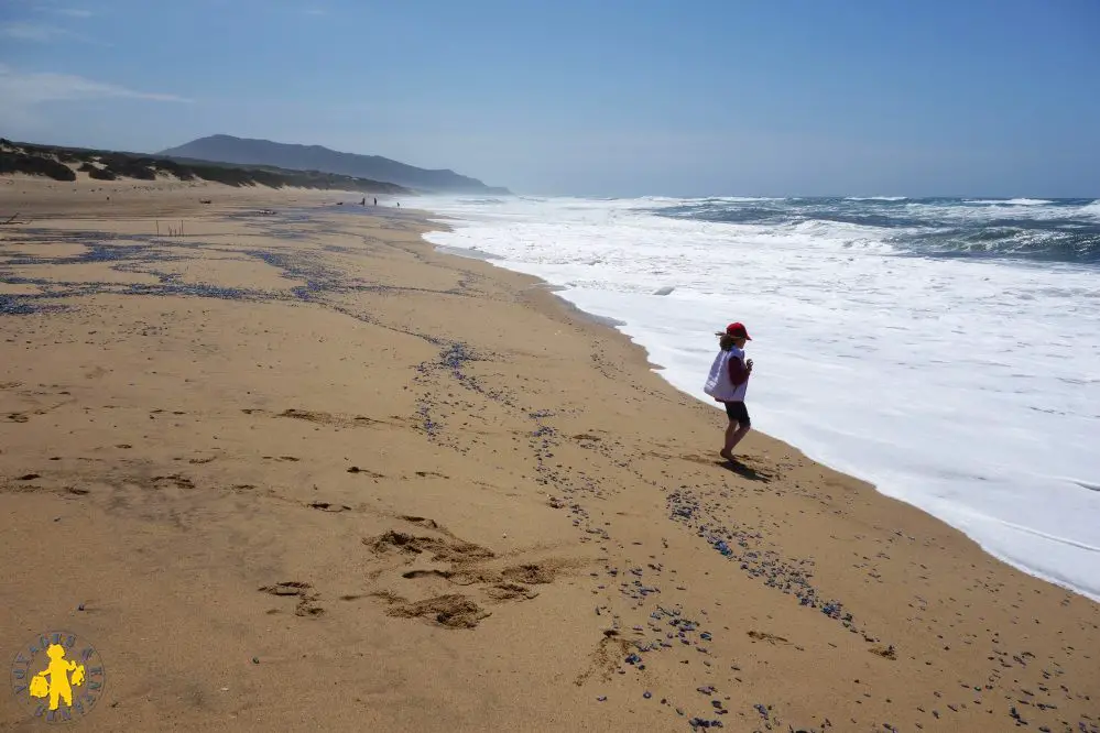 2014.04.28 Sardaigne Iglesias + Piscinas + Grotte san giovanni + Cagliari (95A)