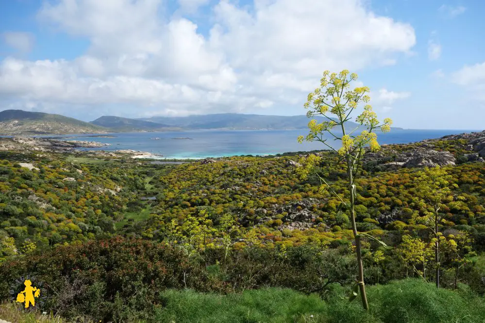 20140424 Sardaigne Asinara +soir Castelsardo 43a Visite de lîle dAsinara Sardaigne |blog Voyages Enfants